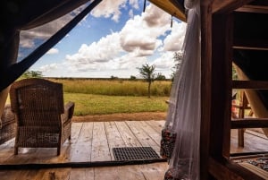 Fra Zanzibar: 2-dagers safaritur i Serengeti-parken med flyreiser