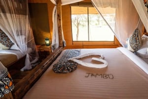 Fra Zanzibar: 2-dagers safaritur i Serengeti-parken med flyreiser