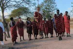 From Zanzibar:2 Nights& 1 day MIKUMI NATIONAL PARK (3 DAYS )