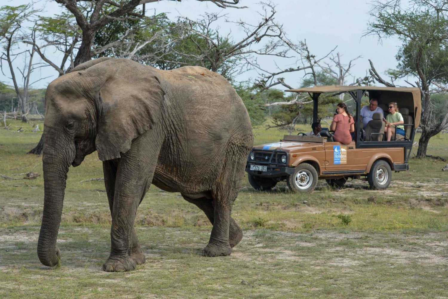 Sansibarista: 3 päivän safari Selousin lentojen kanssa