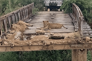 Von Sansibar: 3-tägige Selous-Safari, Bootstour & Besuch bei den Maasai
