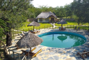 Von Sansibar: 3-tägige Selous-Safari mit Flügen