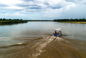 Von Sansibar: 3-tägige Selous-Safari mit Flügen