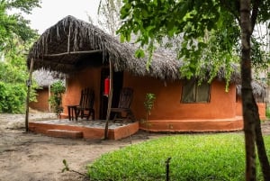 Von Sansibar: 3-tägige Selous-Safari mit Flügen