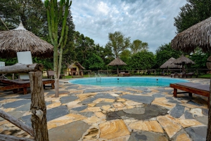 Von Sansibar: 3-tägige Selous-Safari mit Flügen