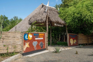 Von Sansibar: 3-tägige Selous-Safari mit Flügen