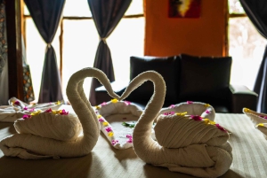 Von Sansibar: 3-tägige Selous-Safari mit Flügen