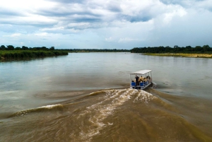 Von Sansibar: 3-tägige Selous-Safari mit Flügen