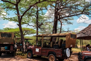 Von Sansibar: 3-tägige Selous-Safari mit Flügen