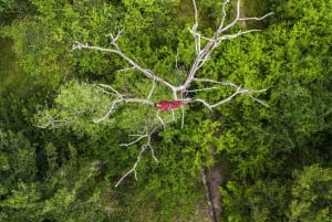 Zanzibarista: 3 päivän Selous-safarimatka lentoineen