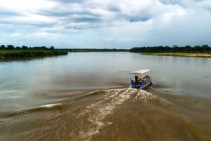 Zanzibarista: 3 päivän Selous-safarimatka lentoineen