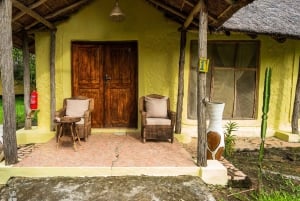 Zanzibarista: 3 päivän Selous-safarimatka lentoineen