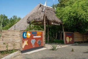 Zanzibarista: 3 päivän Selous-safarimatka lentoineen