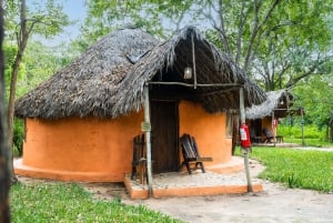 Zanzibarista: 3 päivän Selous-safarimatka lentoineen