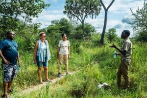 Zanzibarista: 3 päivän Selous-safarimatka lentoineen