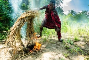 Zanzibarista: 3 päivän Selous-safarimatka lentoineen