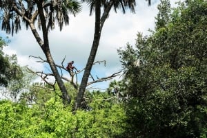 Zanzibarista: 3 päivän Selous-safarimatka lentoineen
