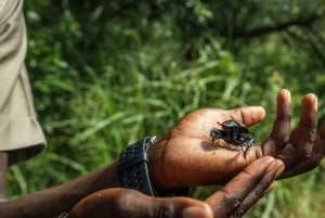 Zanzibarista: 3 päivän Selous-safarimatka lentoineen