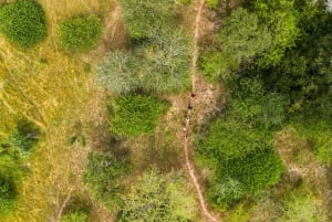 Zanzibarista: 3 päivän Selous-safarimatka lentoineen