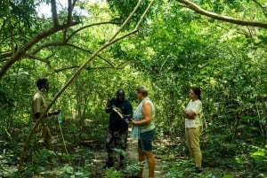 Zanzibarista: 3 päivän Selous-safarimatka lentoineen