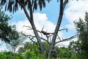 Zanzibarista: 3 päivän Selous-safarimatka lentoineen