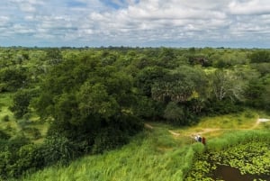 Zanzibarista: 3 päivän Selous-safarimatka lentoineen