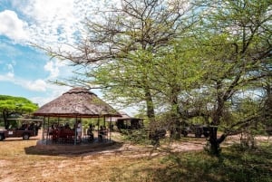 Zanzibarista: 3 päivän Selous-safarimatka lentoineen