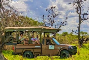 Zanzibarista: 3 päivän Selous-safarimatka lentoineen