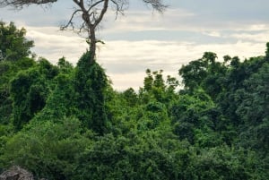 Zanzibarista: 3 päivän Selous-safarimatka lentoineen