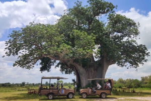Zanzibarista: 3 päivän Selous-safarimatka lentoineen