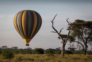 From Zanzibar: 3-Day Serengeti Safari with Flights and Meals