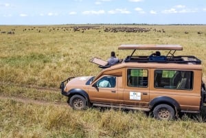 Från Zanzibar: 3-dagars världsberömd Serengeti-safari och flyg