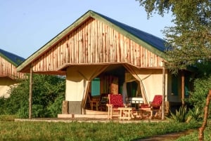 Från Zanzibar: 3-dagars världsberömd Serengeti-safari och flyg