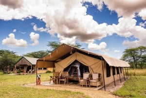 Från Zanzibar: 3-dagars världsberömd Serengeti-safari och flyg