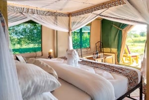 Från Zanzibar: 3-dagars världsberömd Serengeti-safari och flyg