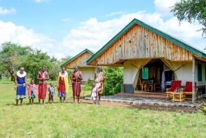 Från Zanzibar: 3-dagars världsberömd Serengeti-safari och flyg