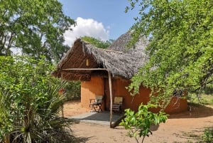 Z Zanzibaru: 3-dniowe safari Selous all inclusive i lot