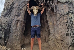 Fra Zanzibar: 3-dagers safari i Mikumi nasjonalpark med tog