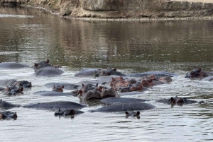 z Zanzibaru: 3-dniowe safari w Parku Narodowym Mikumi z przejazdem pociągiem.