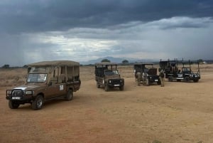 z Zanzibaru: 3-dniowe safari w Parku Narodowym Mikumi z przejazdem pociągiem.