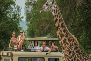 Depuis Zanzibar : safari de 3 jours dans le parc national de Mikumi avec train