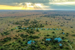 From Zanzibar: 4-Day Safari in the Serengeti with Flights