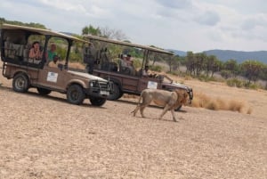 ザンジバル発：フライトとランチ付きの最高の一日サファリ ミクミ