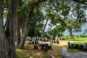 ザンジバル発：フライトとランチ付きの最高の一日サファリ ミクミ