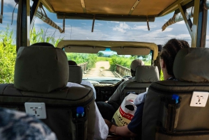 ザンジバル発：フライトとランチ付きの最高の一日サファリ ミクミ