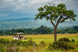ザンジバル発：フライトとランチ付きの最高の一日サファリ ミクミ