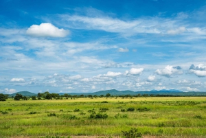 ザンジバル発：フライトとランチ付きの最高の一日サファリ ミクミ