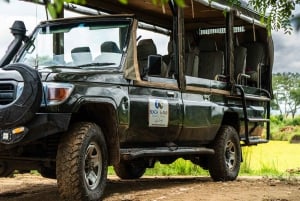 ザンジバル発：フライトとランチ付きの最高の一日サファリ ミクミ