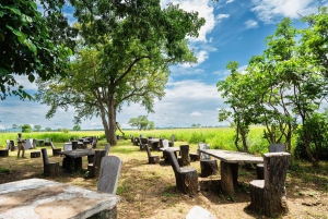 ザンジバル発：フライトとランチ付きの最高の一日サファリ ミクミ