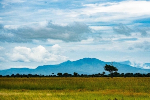 ザンジバル発：フライトとランチ付きの最高の一日サファリ ミクミ
